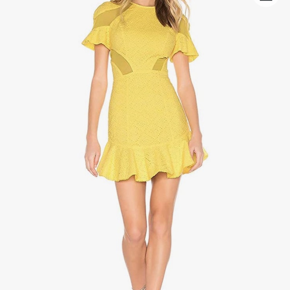 NEW NWT Karina Grimaldi Lila Eyelet Mini Dress